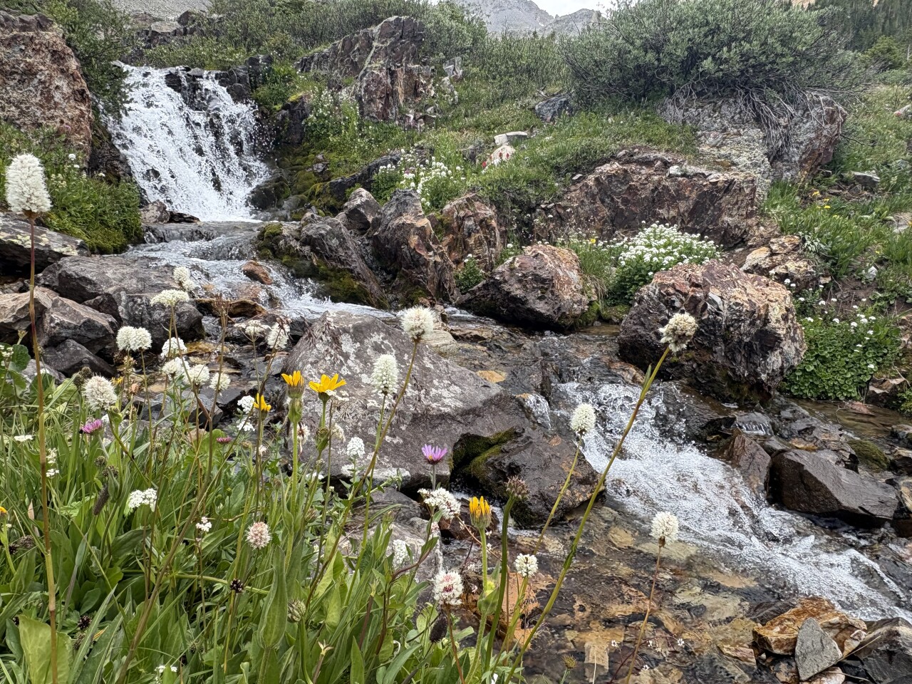Rustler’s Gulch in Crested Butte
