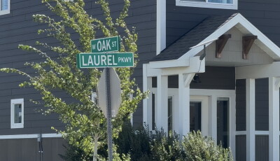 Oak and Laurel 