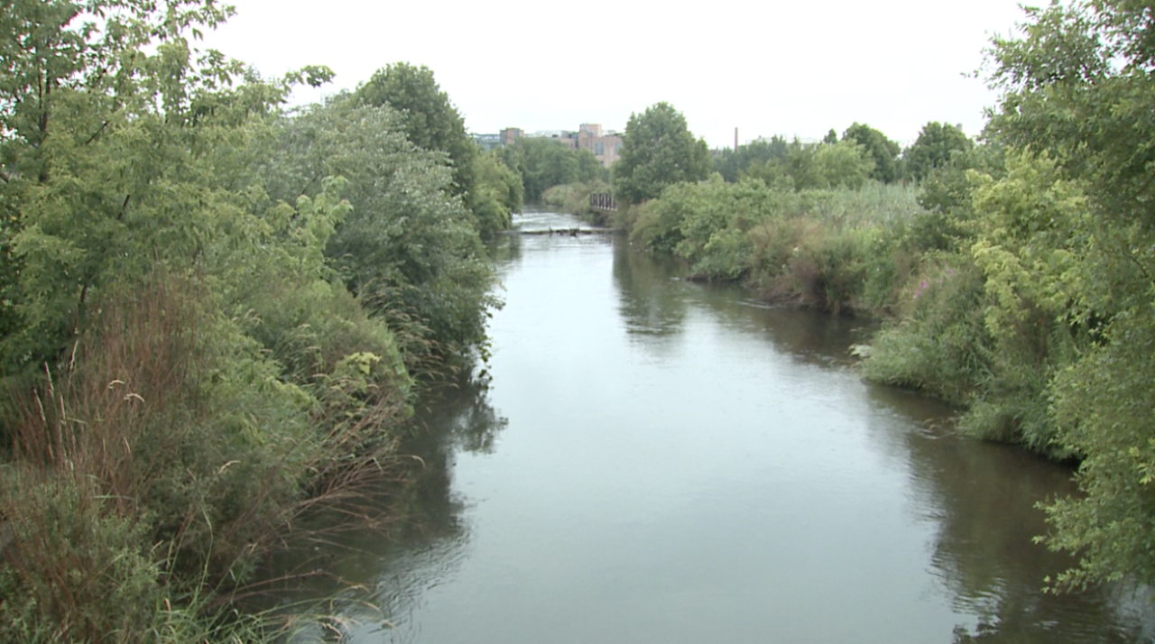 kzoo and creek flooding preps 1.png