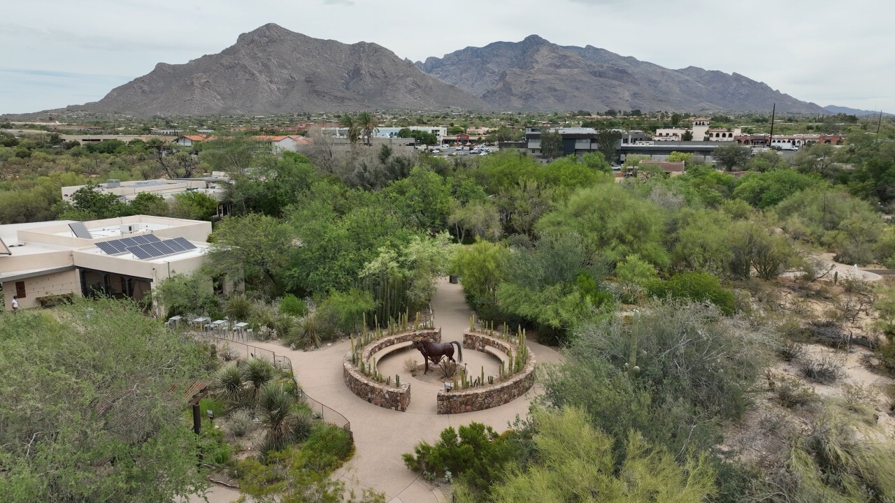 Tohono Chul