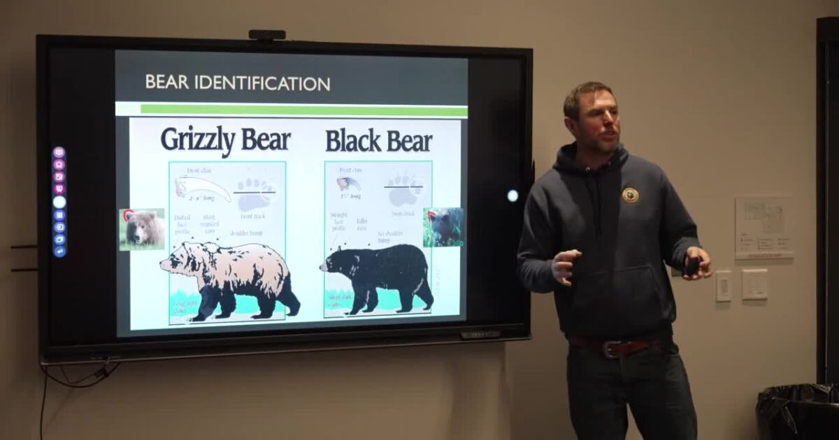Sun River will host a 'Bear Aware and Safety Workshop' - Vimarsana News