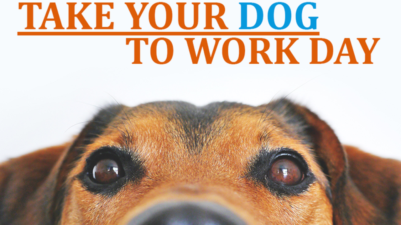 National Take Your Dog To Work Day 2025