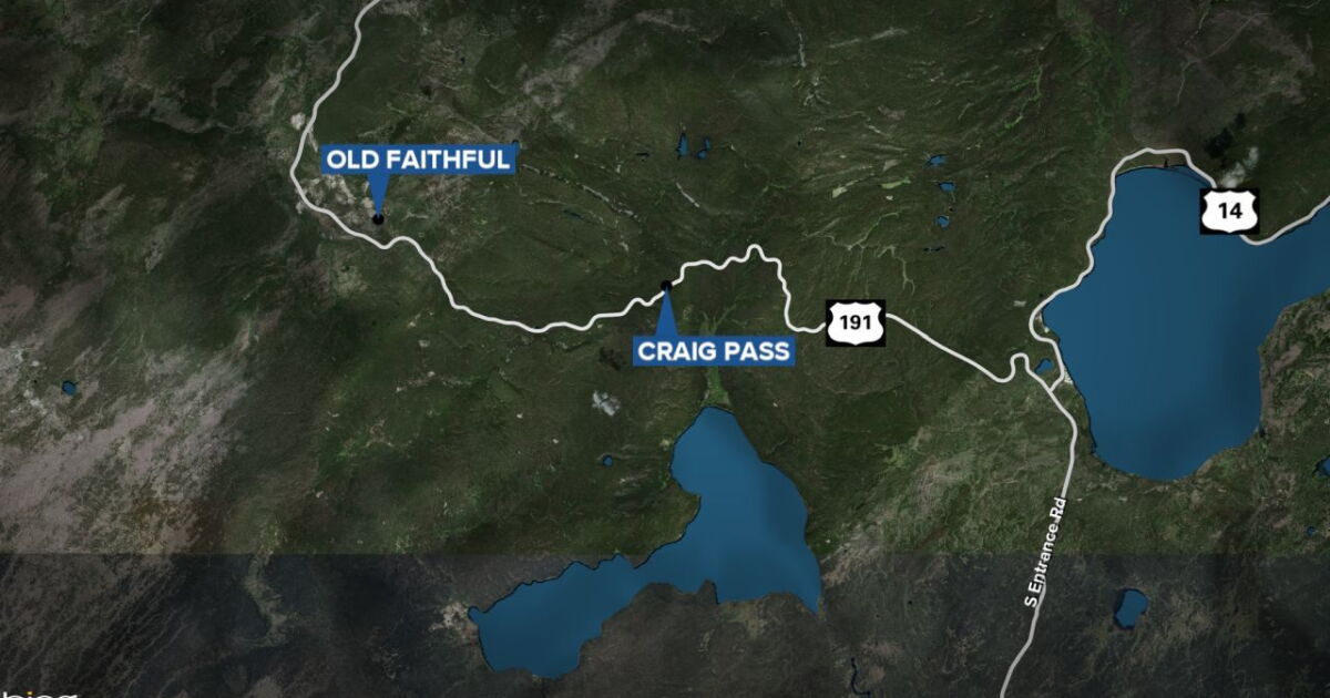 Man will be released after woman found dead in Yellowstone National Park - Vimarsana News
