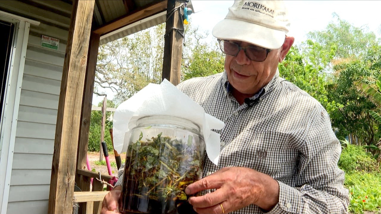 EMMANUEL ROUX PLANT EXTRACT WFTS.png