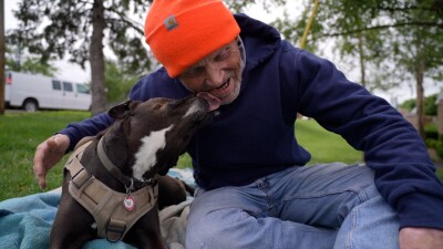 dog pic.jpg