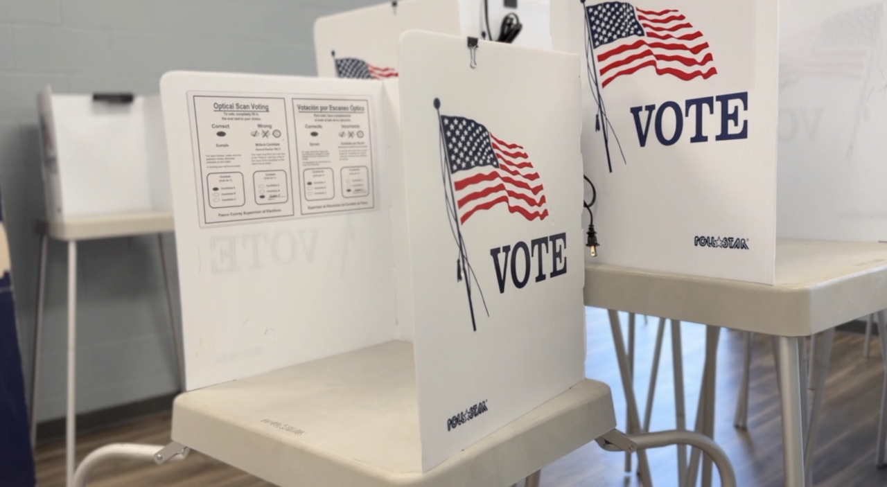 Voting