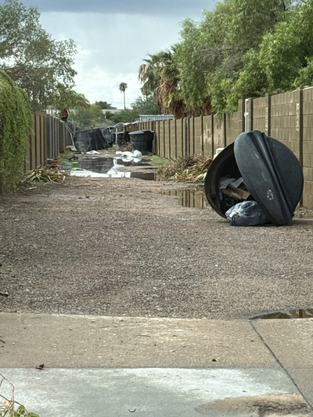 Storm-related damage reported in Tempe. 