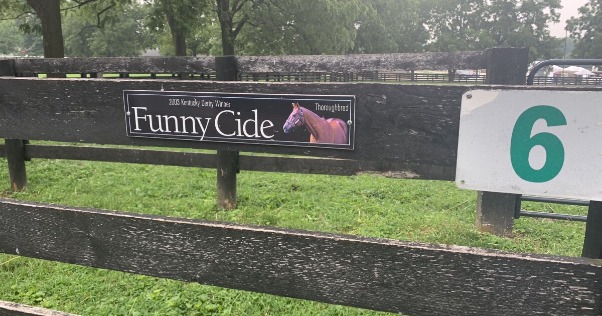 #39 We re all going to miss Funny Cide #39 : 2003 Derby winner dies