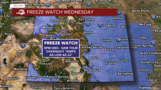 Freeze Watch
