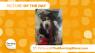 It's the Picture of the Day for October 9th, 2025!