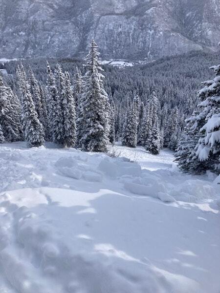 avalanche on richmond ridge dec 7 2022.jpg