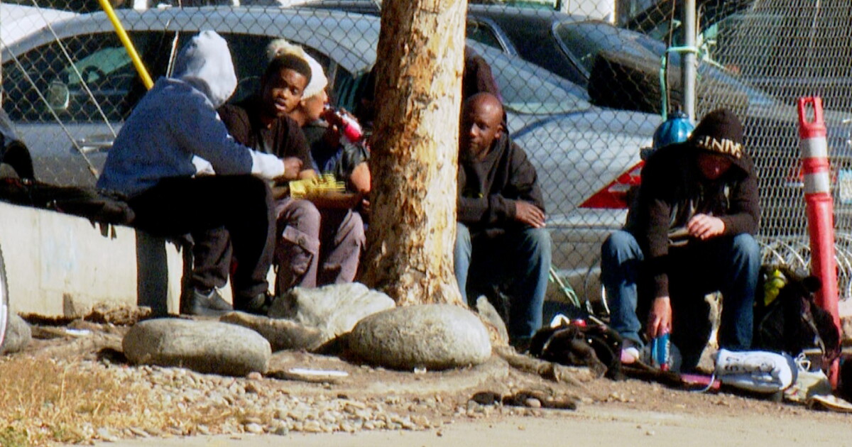 El Paso County seeks help from Colorado Springs in homeless camp cleanups - Vimarsana News