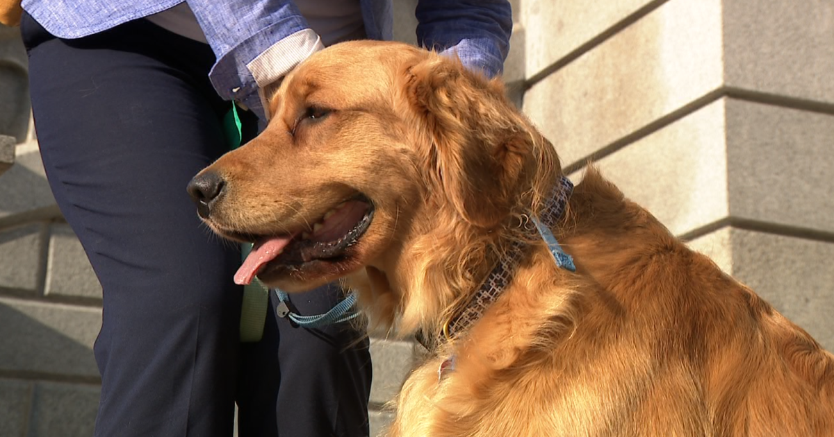 Colorado lawmaker aims to support veterinarians during 2024 legislative session - Vimarsana News