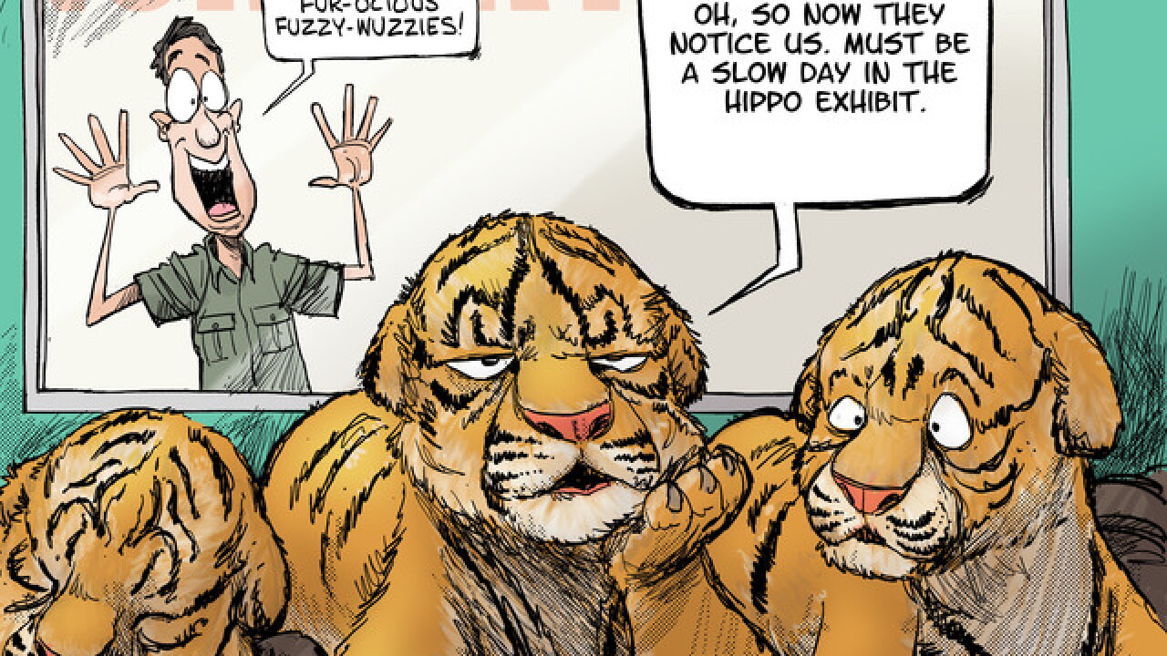 CAPTION THIS: The other Zoo Babies