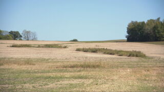Kentucky Pennyrile farmland 