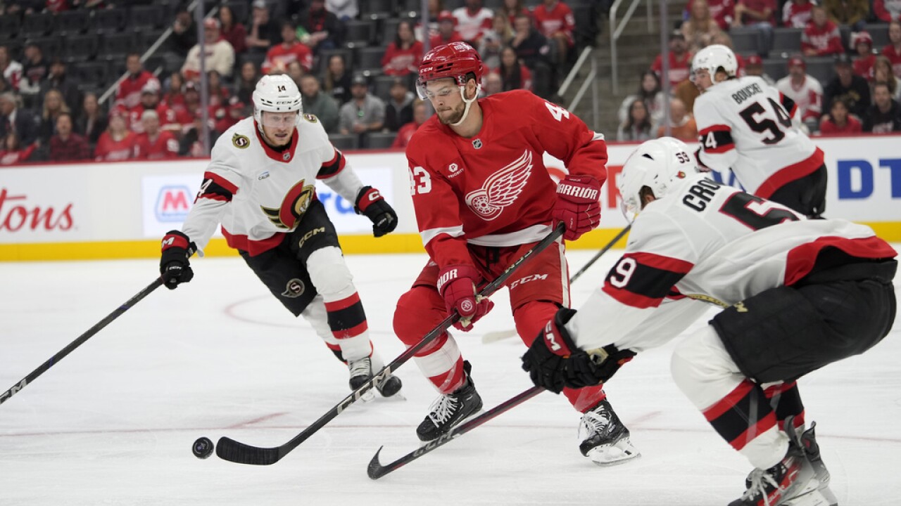 Senators Red Wings Hockey