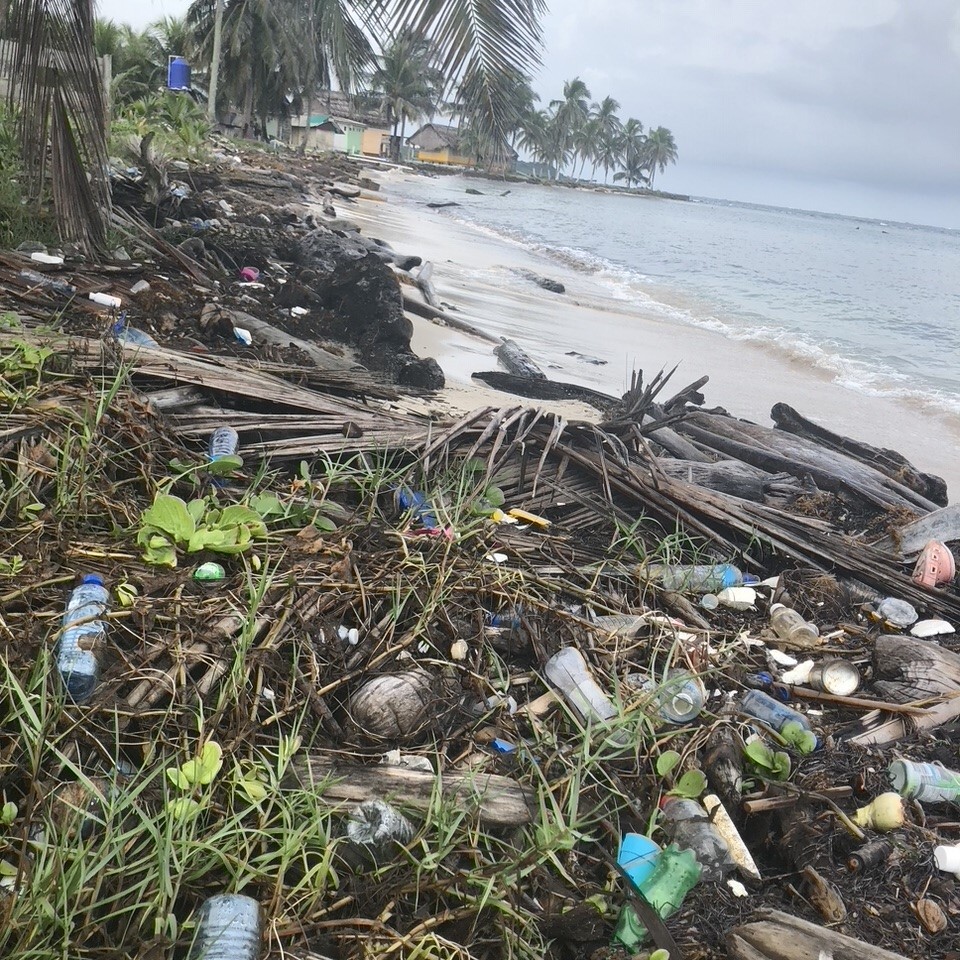 Trash along the ocean, taken during CEO Lindsey McCoy's research trip