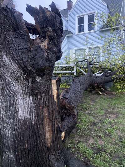 Kentwood, MI storm damage 