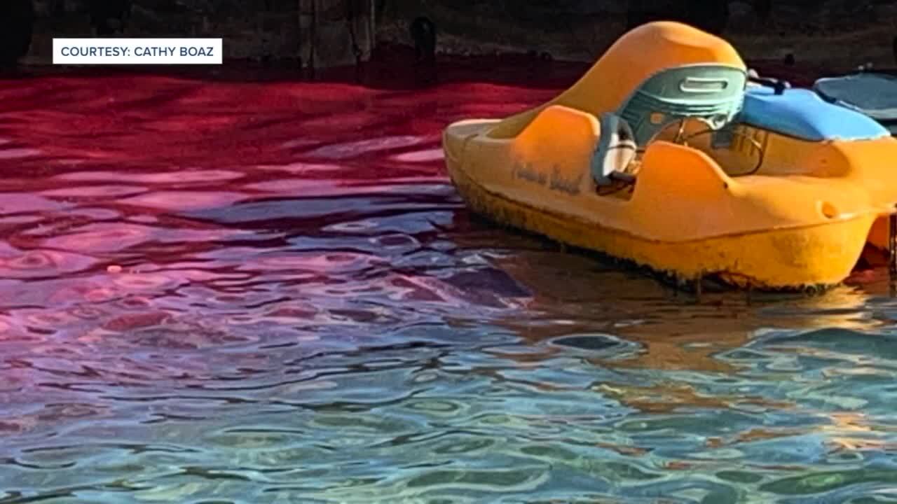 Cathy Boaz shot this image of a red substance spreading on the Intercoastal Waterway in West Palm Beach. May 6, 2024