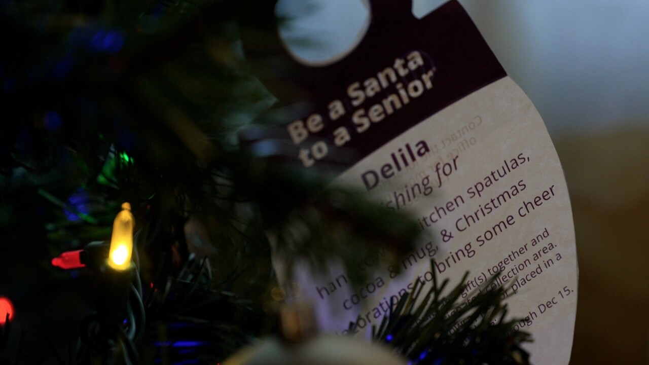 be a santa to a senior.jpg