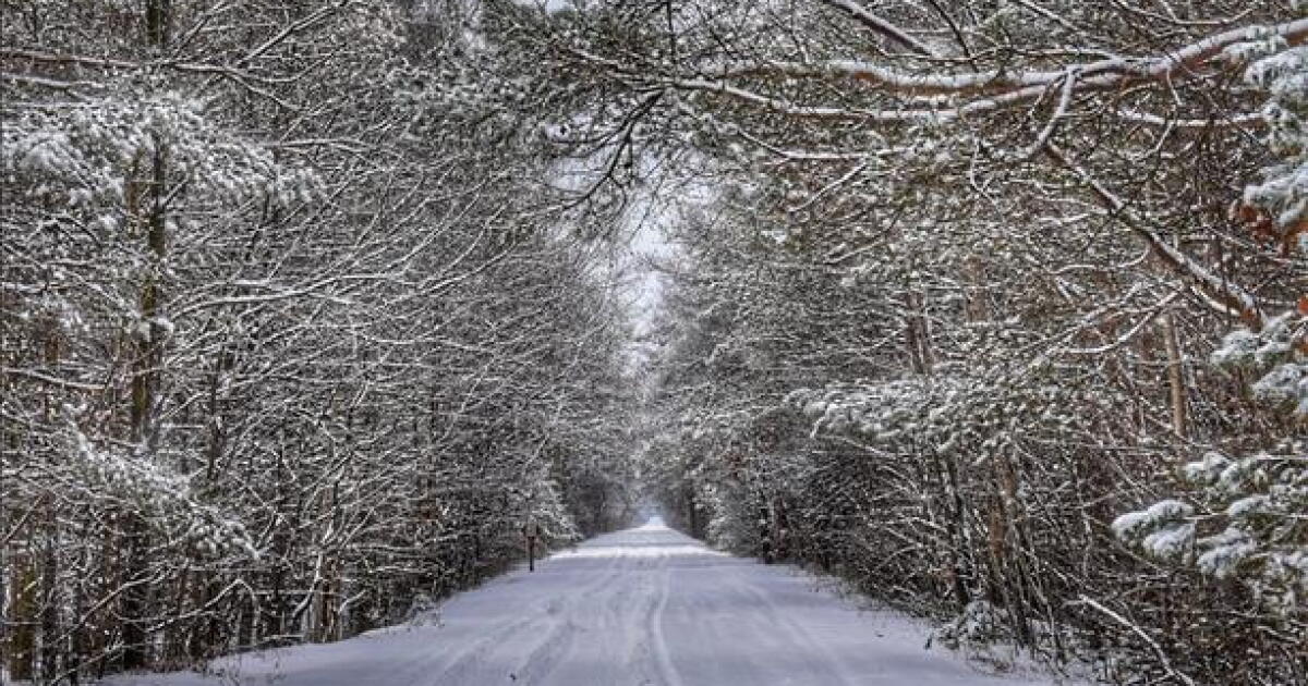 Warming centers open in Detroit amid snowstorm, cold temperatures - Vimarsana News