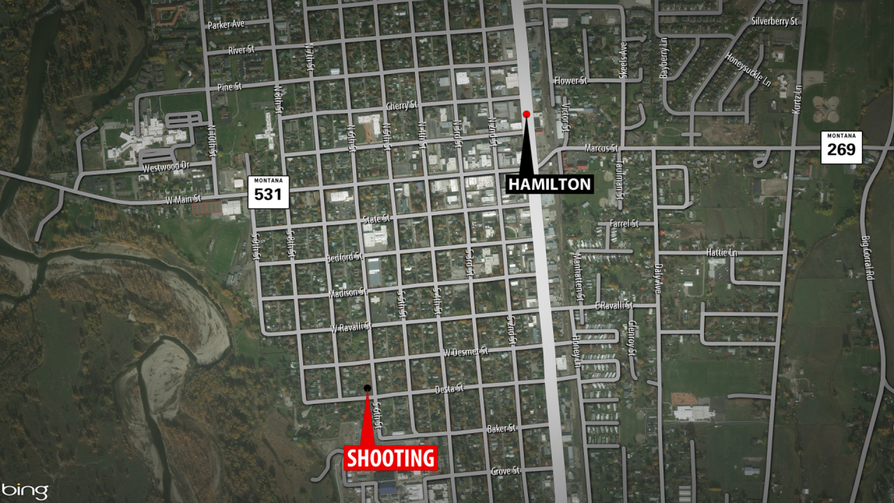 Hamilton Fatal Shooting.png