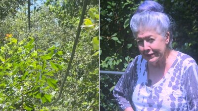 Dangling cable outside Vivian Dale's home