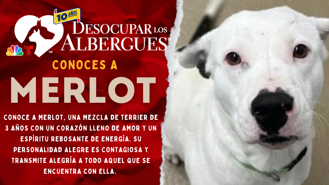 Copy of Copy of Merlot (1).png