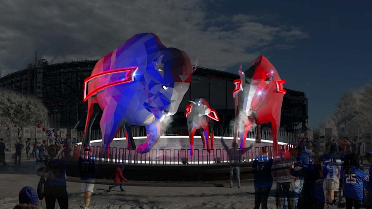 bisons web night.jpg