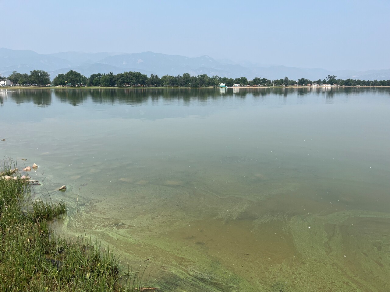 Prospect Lake Algae Bloom  