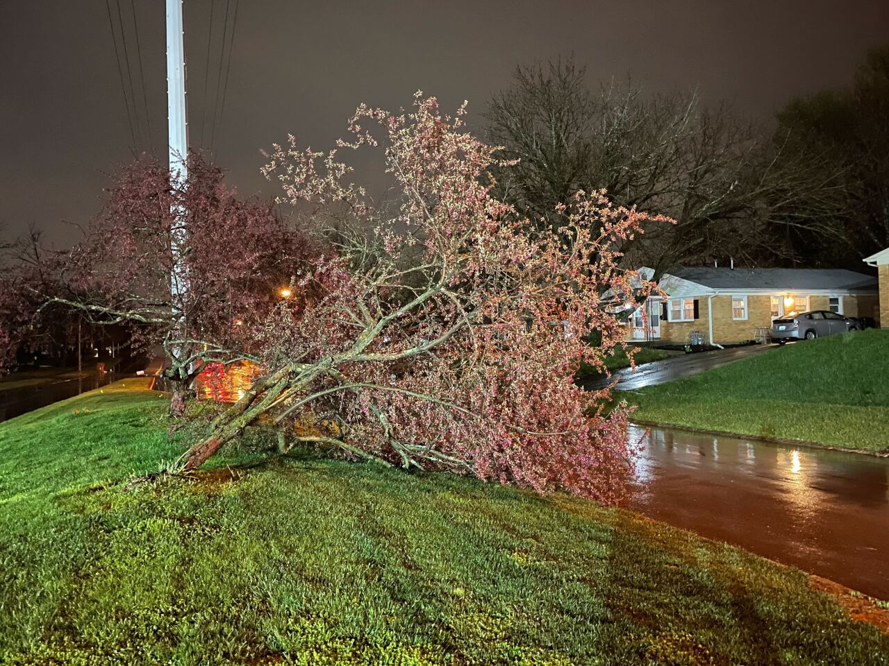 Image from iOS (60).jpg