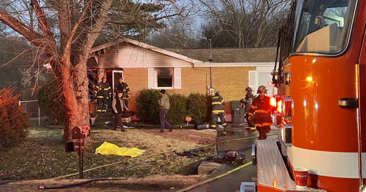 Three pets killed in Hermitage house fire