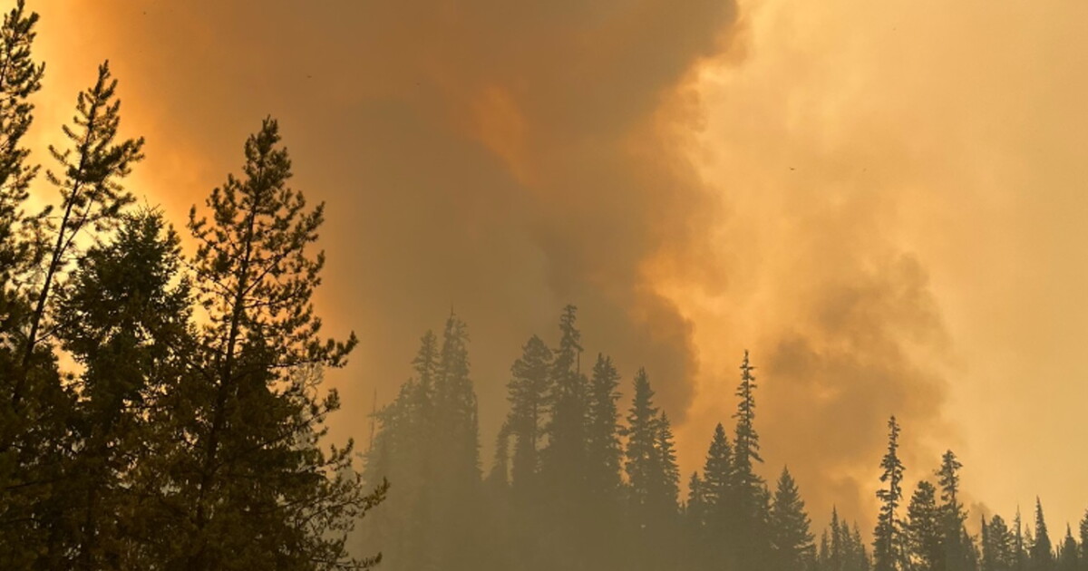 Ridge Fire near Hungry Horse burning 2,773 acres - Vimarsana News