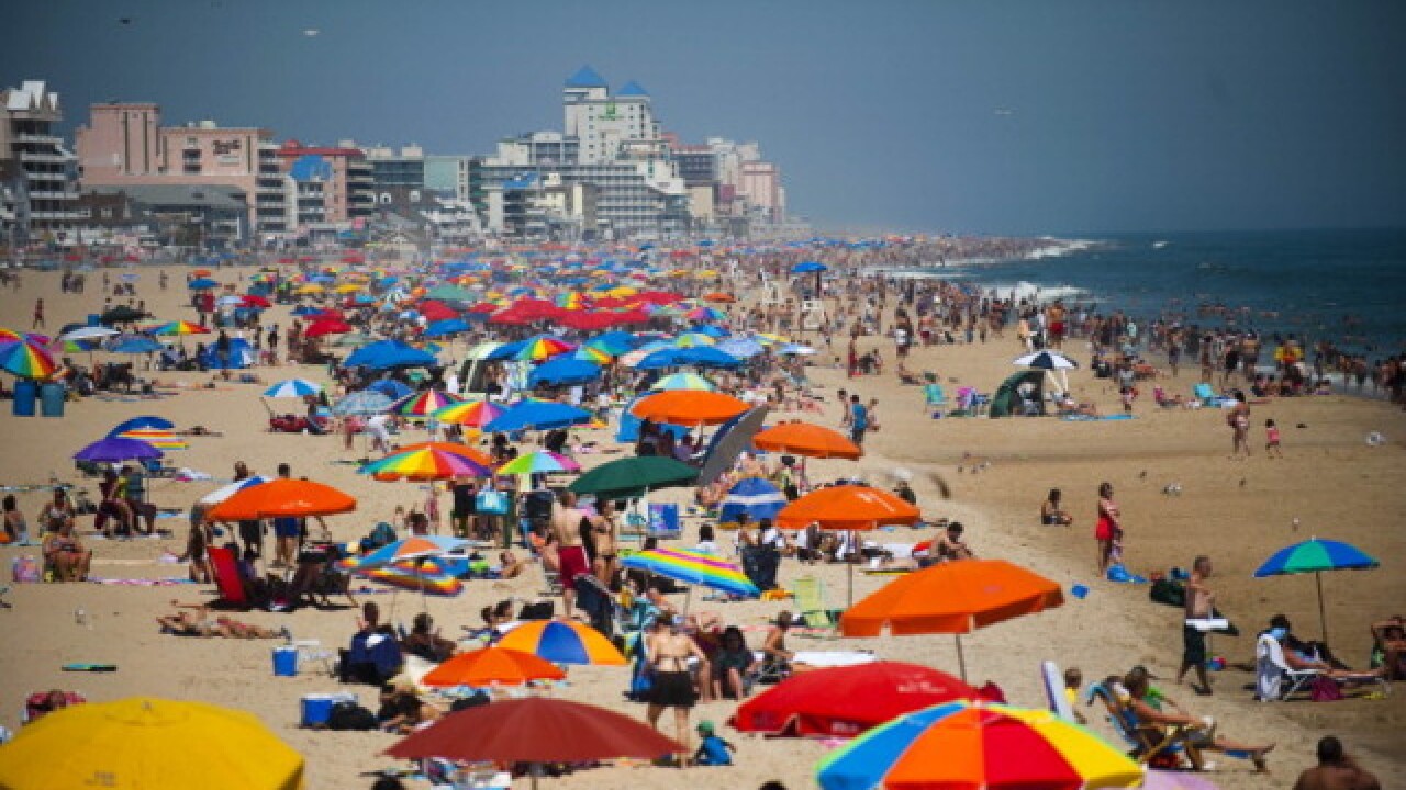 Sea lice outbreak reported on Ocean City beaches