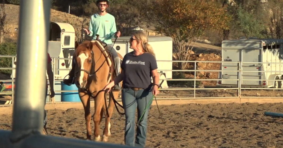 Lakeside ranch offers therapy on horseback - Vimarsana News