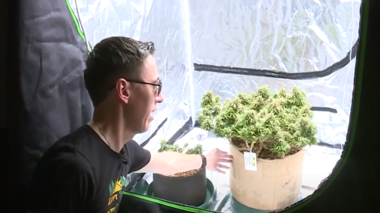 Chesterfield man hopes to ease fears for Virginians interested in growing marijuana