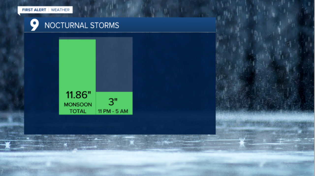 thumbnail_NOCTURNAL STORMS.png