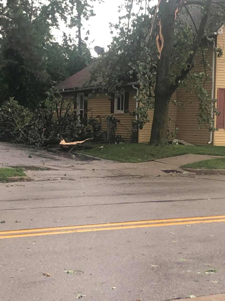 thumbnail_Pic 3.jpeg