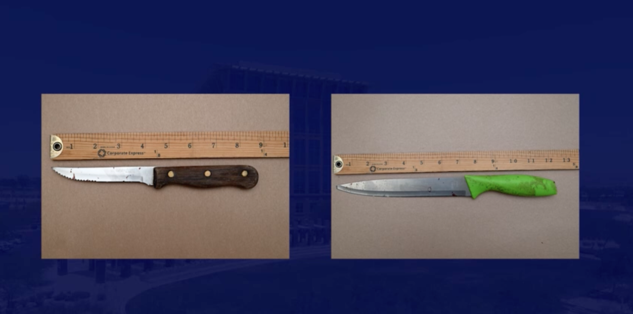 North Las Vegas Police