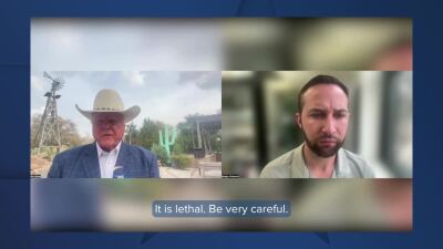 Commissioner Sid Miller Interview Nov 19.jpg