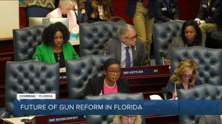 Democrats push for gun reform after FSU shooting, but time is running out