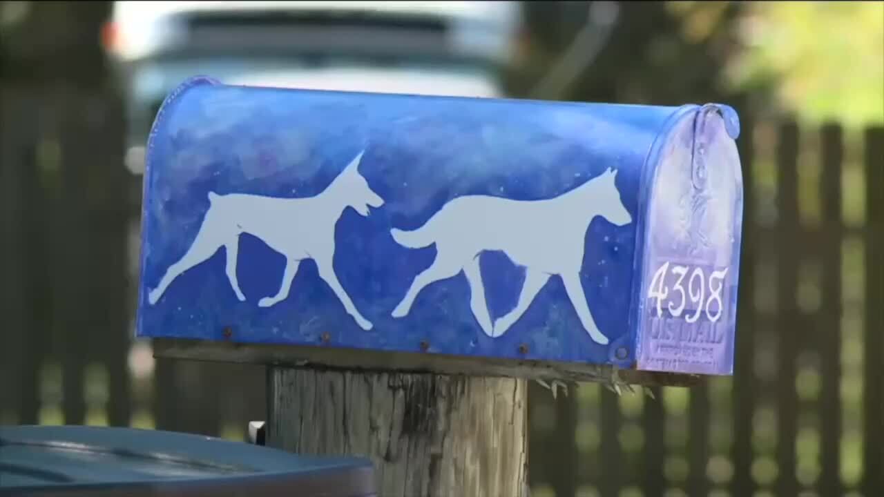 mailbox outside Pawsitively Paradise in Palm City