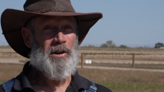 Yosef Salzano, Founder of Friends of Bees 