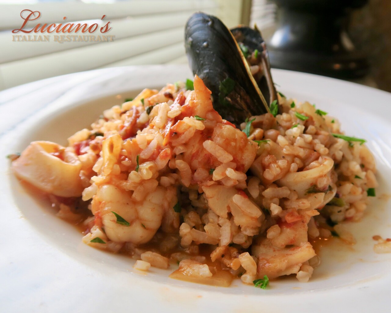 Seafood Dish, Featuring Mussels, Shrimp and Calamari from Luciano's