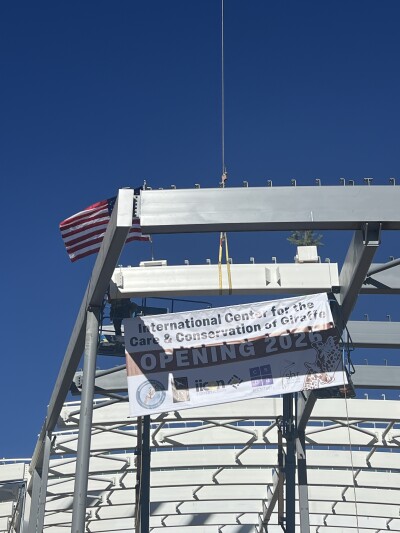 International Center for the Care & Construction of Giraffes