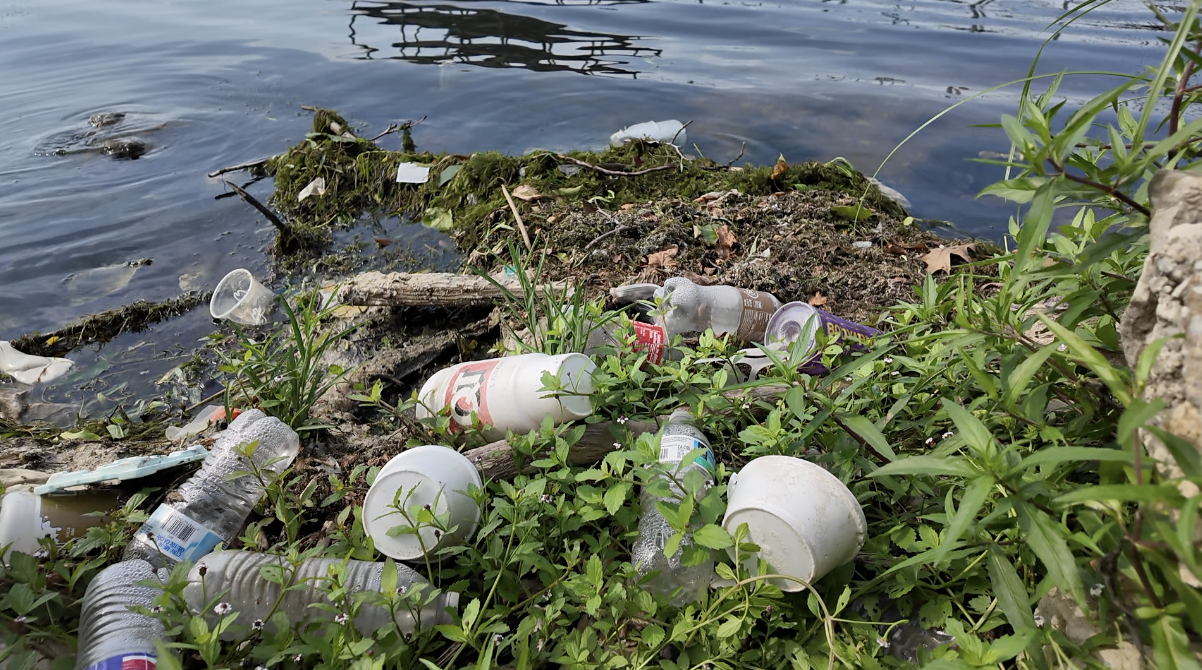 Trash at Lake Jacomo