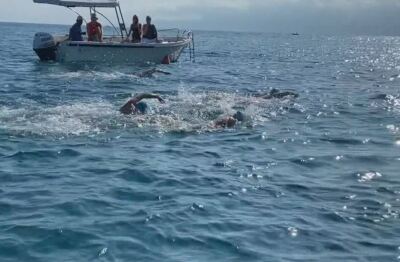 Marlins of Messina