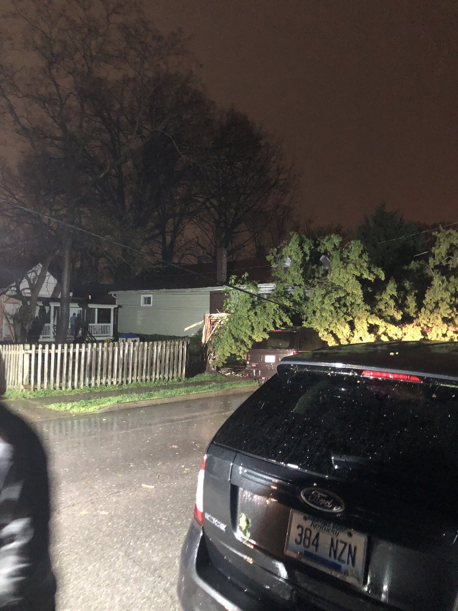 Tree into car fence.jpg