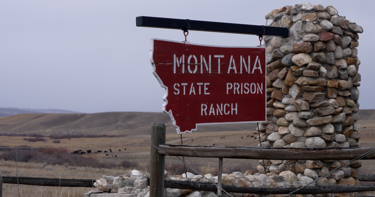 Montana Ag: Pheasant Program at State Prison Creates Unique Opportunities