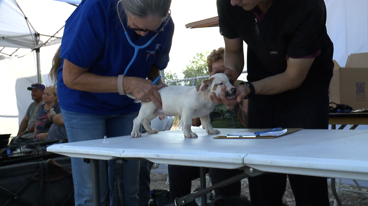PUP Outreach Mobile Clinic